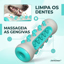 Brinquedo Mordedor Dental 3 em 1 DentClean™