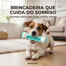 Brinquedo Mordedor Dental 3 em 1 DentClean™