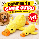 Pato QuackFun - Brinquedo com Som Resistente