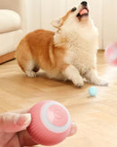 Bolinha Pet Inteligente - Rolamento Automático