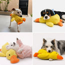 Pato QuackFun - Brinquedo com Som Resistente