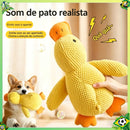 Pato QuackFun - Brinquedo com Som Resistente