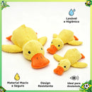 Pato QuackFun - Brinquedo com Som Resistente